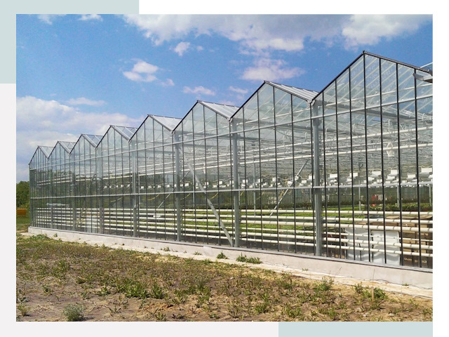 Строительство теплиц в Клинцы от 624 руб. за м²